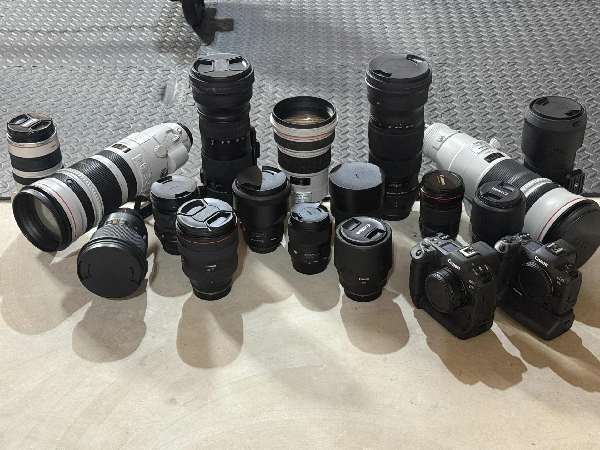 birding lenses and cameras