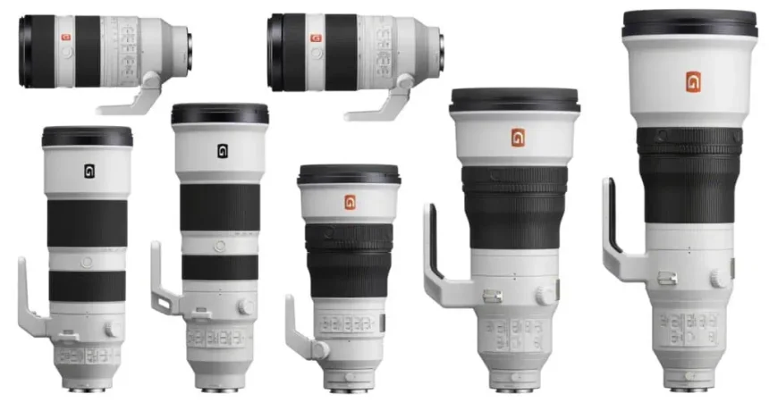 best-sony-wildlife-safari-photography-lenses-kenya