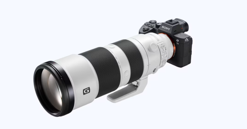 sony a7iii with sony fe 200-600mm