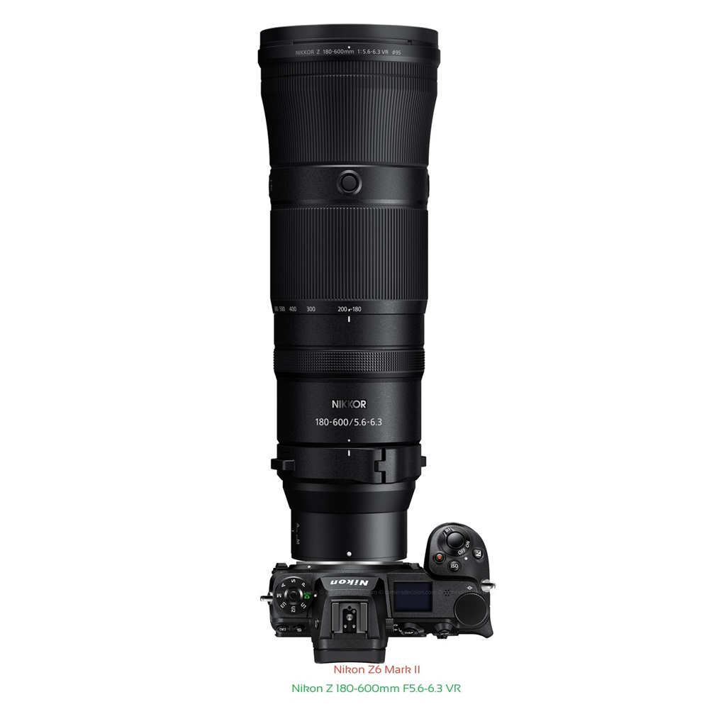 Nikon Z6 II + Z 180-600mm