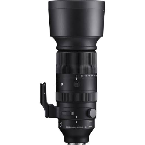 Sigma for Nikon F 60-600mm F4.5-6.3 DG OS HSM | Sports