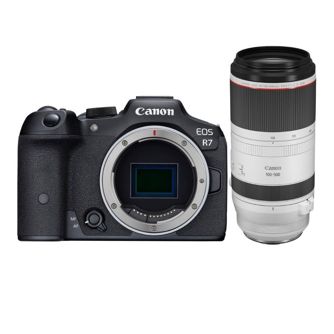 Canon EOS R7 + RF 100-500mm